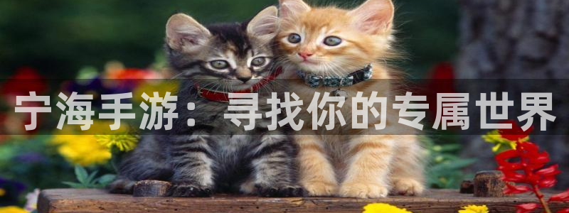 摩根娱乐是个什么平台啊：宁海手游：寻找你的专属世界