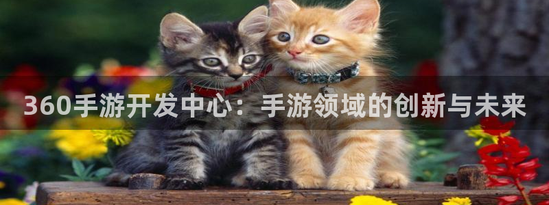 摩根娱乐官网入口：360手游开发中心：手游领域的创新与未来