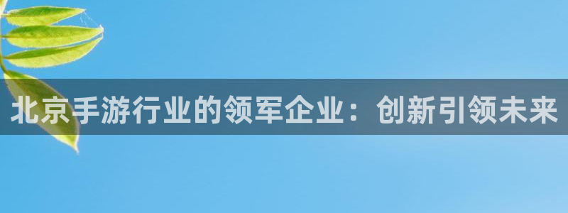 摩根娱乐登录：北京手游行业的领军企业：创新引领未来
