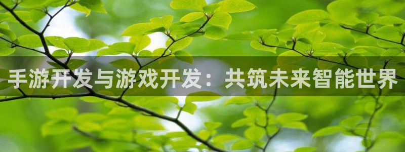 摩根娱乐云挂机教程：手游开发与游戏开发：共筑未来智能世界