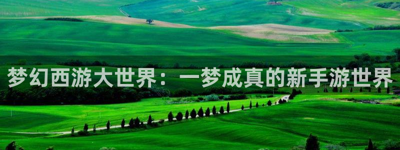 摩根娱乐这个平台怎么样知乎：梦幻西游大世界：一梦成真的新手游