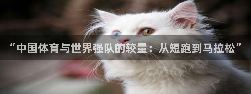 球速体育