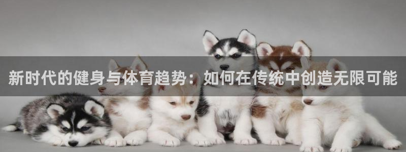 球速体育