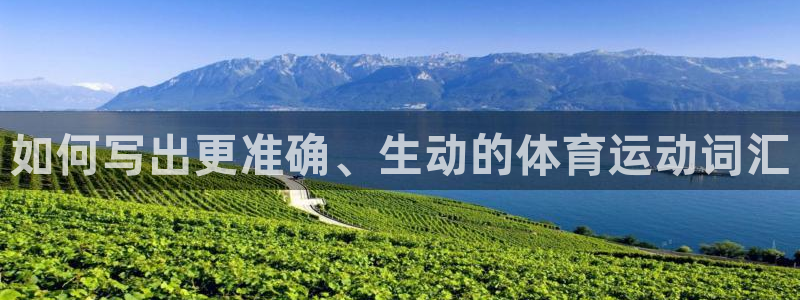 球速体育