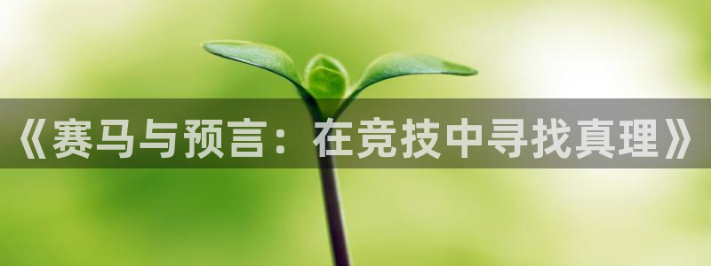 球速体育