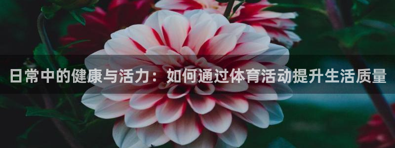 球速体育