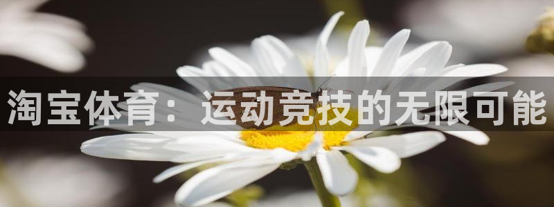 球速体育