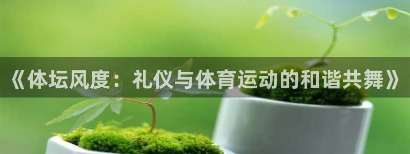 球速体育