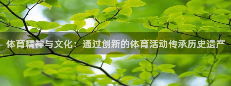 球速体育