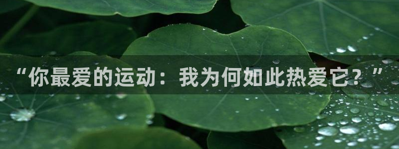 球速体育