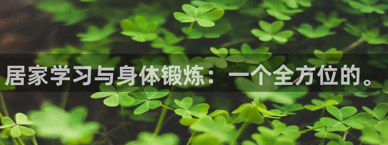球速体育